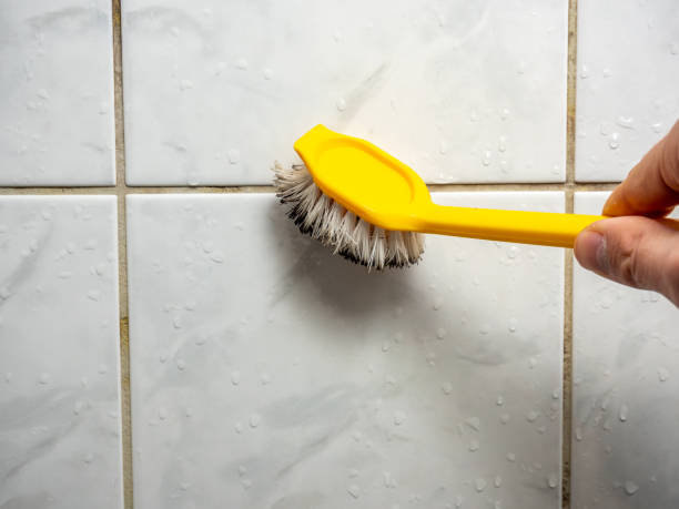 Best Mold Remediation for Specific Building Types in Glen Rose, TX