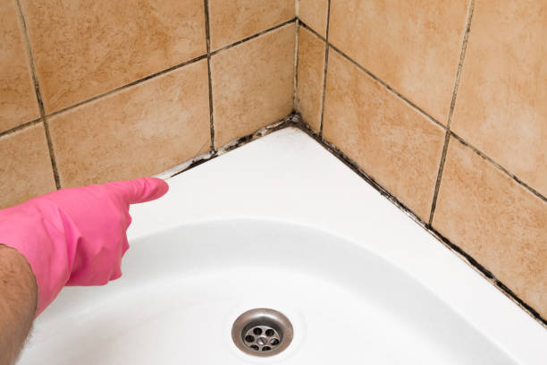 Best Residential Mold Remediation in Glen Rose, TX